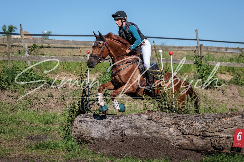 20260523-_3LI6445 | Tierfotografie Pferde, Hunde, Katzen, Haustiere.
Turnierfotografie Reitturniere, Reiten, Springreiten, Dressur in Hanau, dem Main-Kinzig-Kreis und dem Rhein-Main- Gebiet um Frankfurt