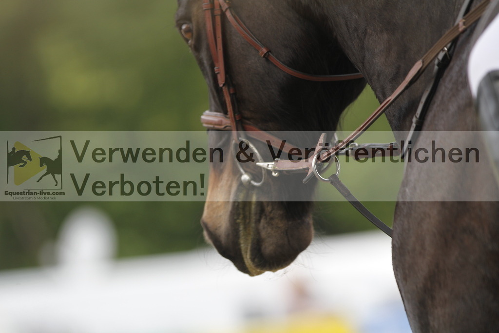 _MG_4546 | equestrian-live-com