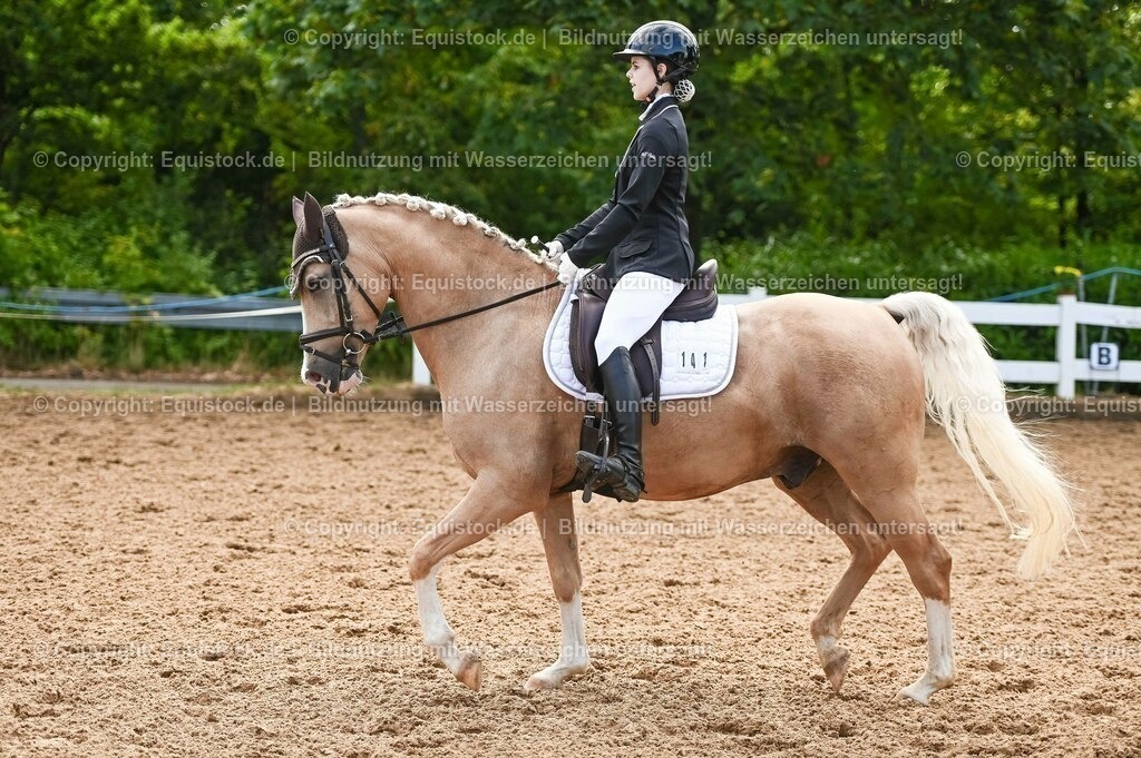 20230716_04_Dressurreiterprüfung Kl.A_0342 | equistock