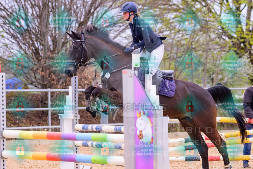 10042026-Mammendorf-Prfg17-0387 | Fokus Hufschlag Fotografie - Realisiert mit Pictrs.com