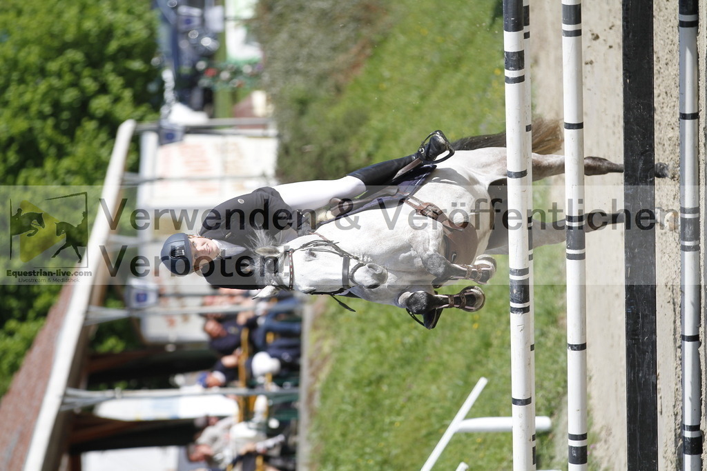 _MG_8513 | equestrian-live-com