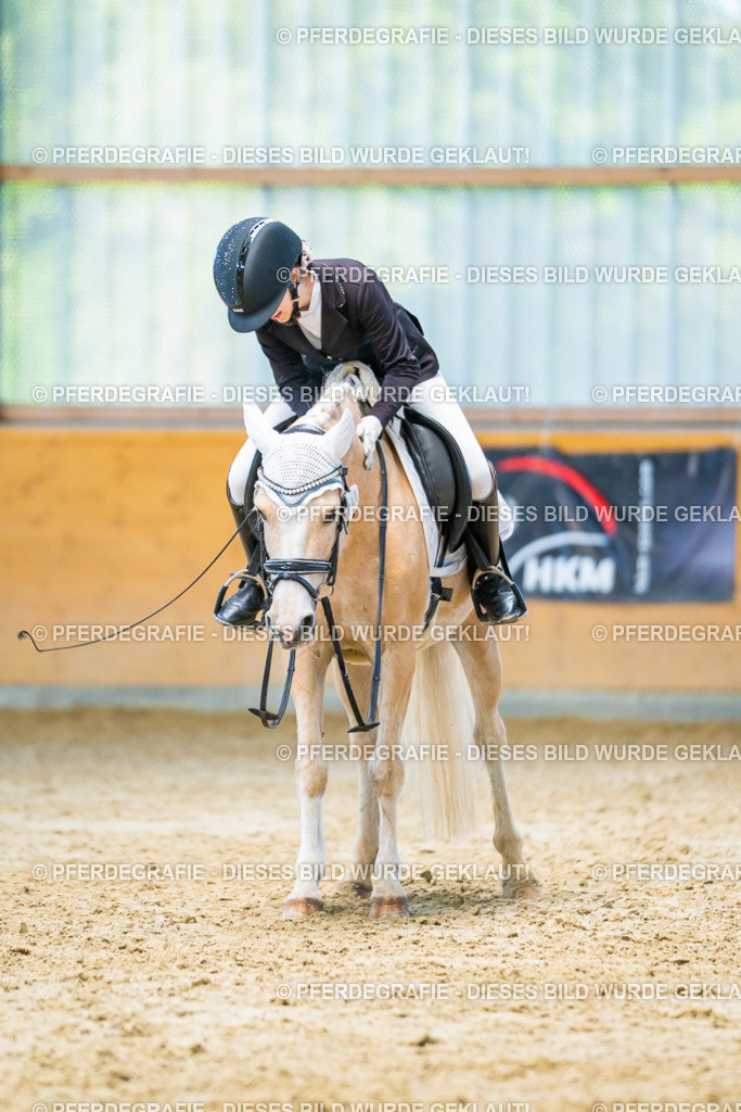 DSC07227 | Pferdegrafie