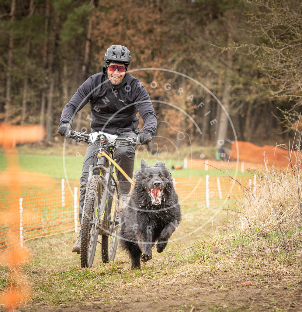 DV3A1087 | Hundefotografie, Tierfotograf, Pfotenfotografie, Fotoshooting Hund, Hunde Portrait, Hundesport, Hundeportraits, Heideshooting, Hunde, Sportfotograf, Hundefotograf, Turnierhundsport, THS,  - Realisiert mit Pictrs.com