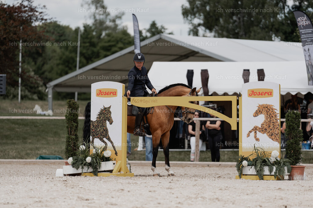 WE_ST_Stoib_311_PI2025_1209 | Pferd International München 2025