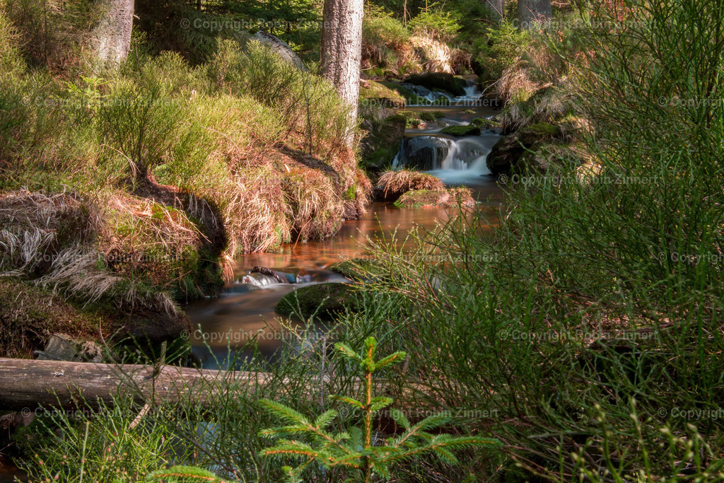 20200412-unbenannt-(C)RobinZinnert-IMG_0322 | Robin Zinnert - Realisiert mit Pictrs.com