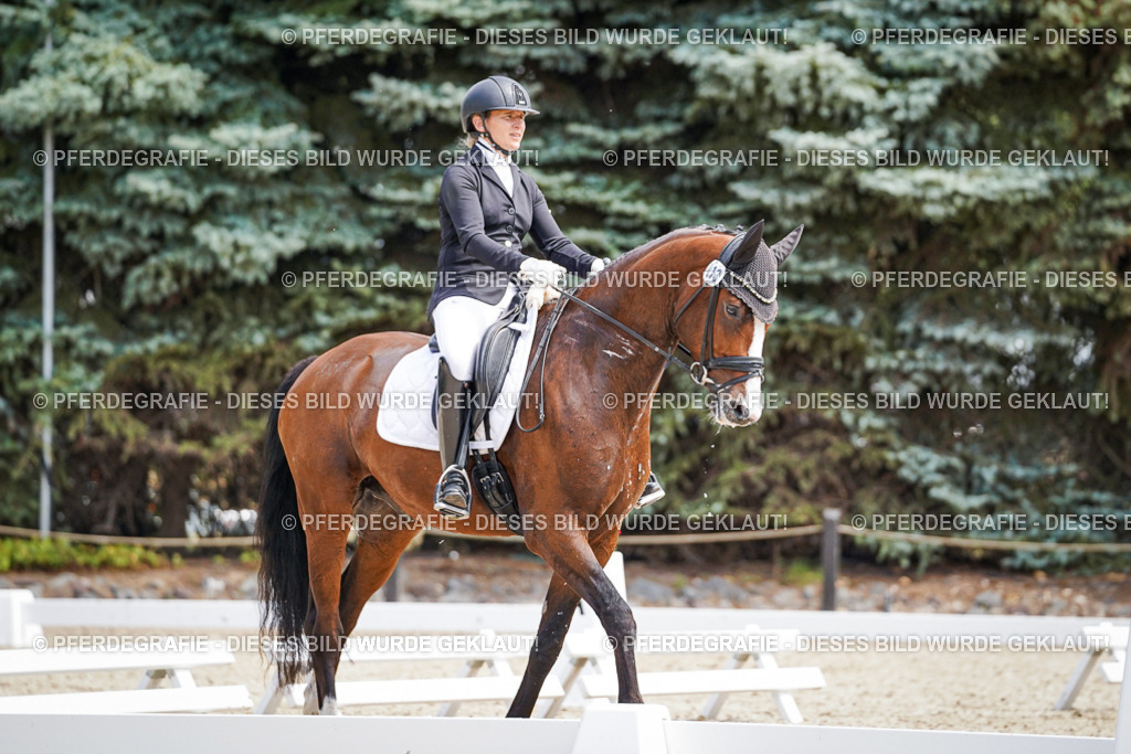 DSC00302 | Pferdegrafie