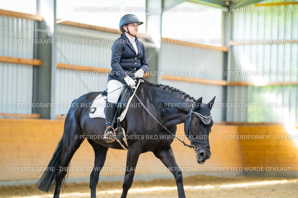 DSC08102 | Pferdegrafie