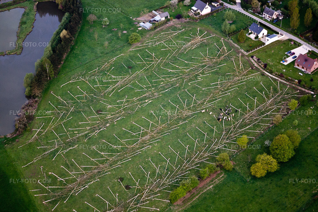Aerial view: Felled tree trunks on a wooded property in Malzy in Romery in the state Aisne, France. – Photo: IMG_39979.jpg taken on 04/17/2011 by Werner Riehm/FLY-FOTO.com – Resolution of the original: 4752 x 3168 px