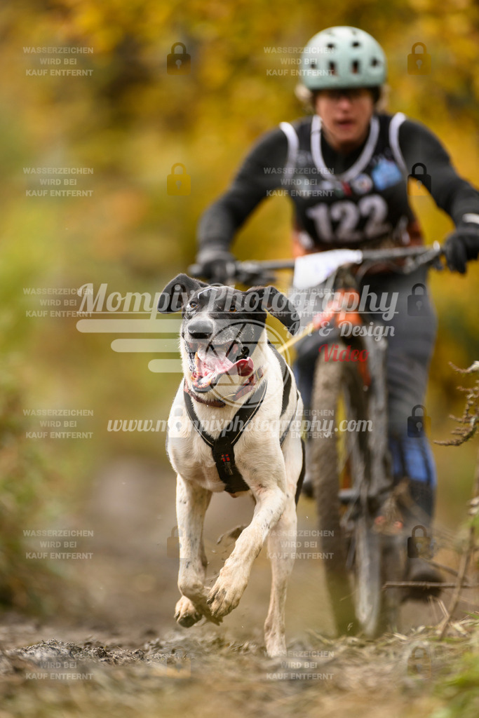 MompixPhotography_ICF_WC_2024_SA_Bike_-108 | PayLife