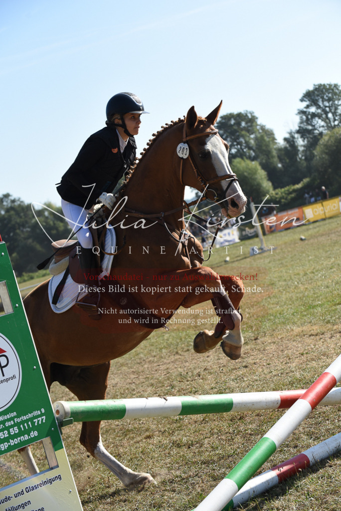 DSC_5964 | Pferde- und Turnierfotografie in Westsachsen. Pferdeportraits, Auftragszeichnungen und intuitive Kunst.