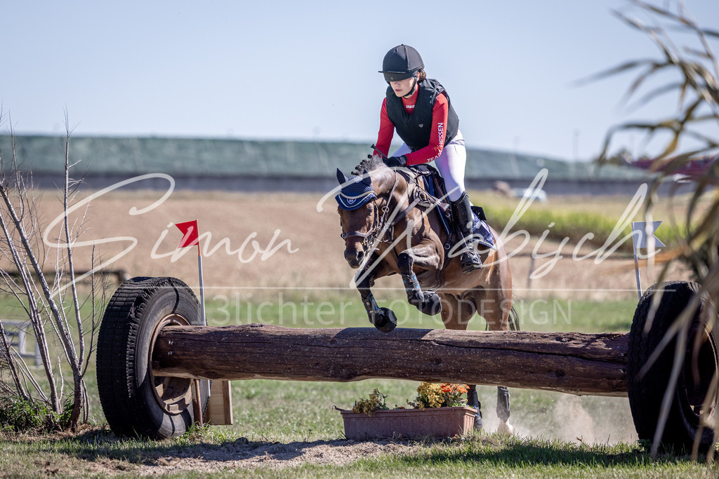 20260906-_3LI2929 | Tierfotografie Pferde, Hunde, Katzen, Haustiere.
Turnierfotografie Reitturniere, Reiten, Springreiten, Dressur in Hanau, dem Main-Kinzig-Kreis und dem Rhein-Main- Gebiet um Frankfurt