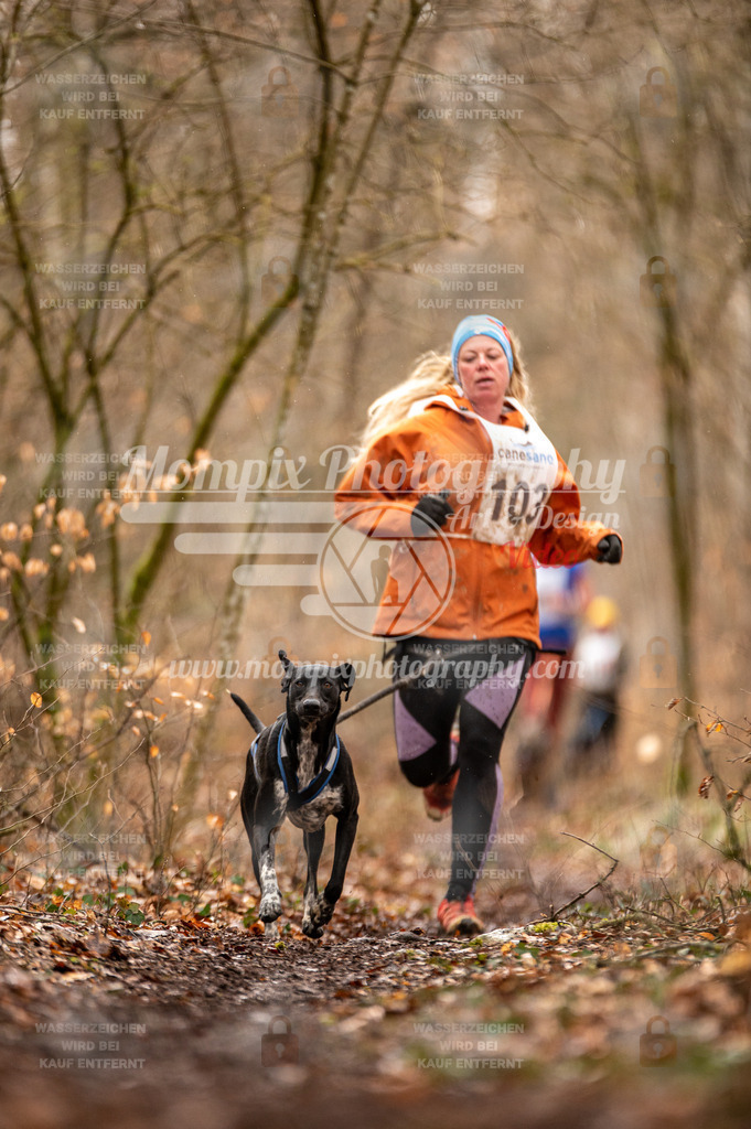 Reiat2023_SON_CaniXRun_5km_W-45 | PayLife