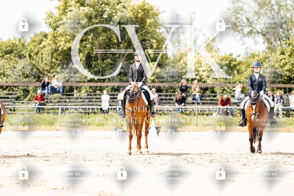 CK901762 | Turnierfotografie Pferdefotografie Trier Rheinland-Pfalz Pferdesport Reitsport Tierfotografie Sportfotografie Pferdevideo Pferdevideografie Equestrianvideography equestrianphotography  - Realisiert mit Pictrs.com