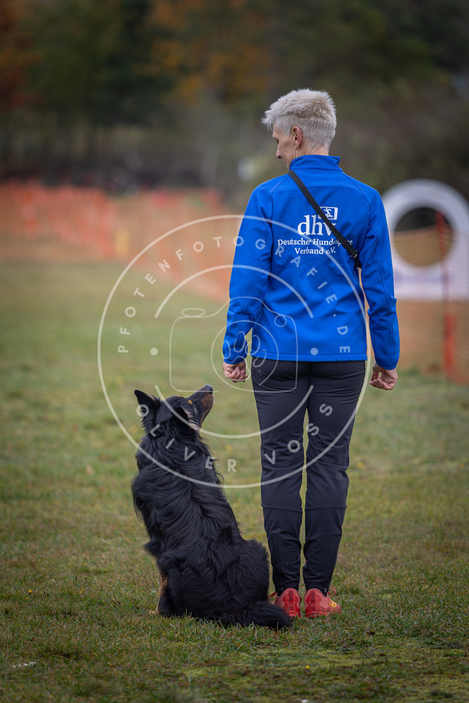 Pfotenfotografie_DV3A9359 | Hundefotografie, Tierfotograf, Pfotenfotografie, Fotoshooting Hund, Hunde Portrait, Hundesport, Hundeportraits, Heideshooting, Hunde, Sportfotograf, Hundefotograf, Turnierhundsport, THS,  - Realisiert mit Pictrs.com