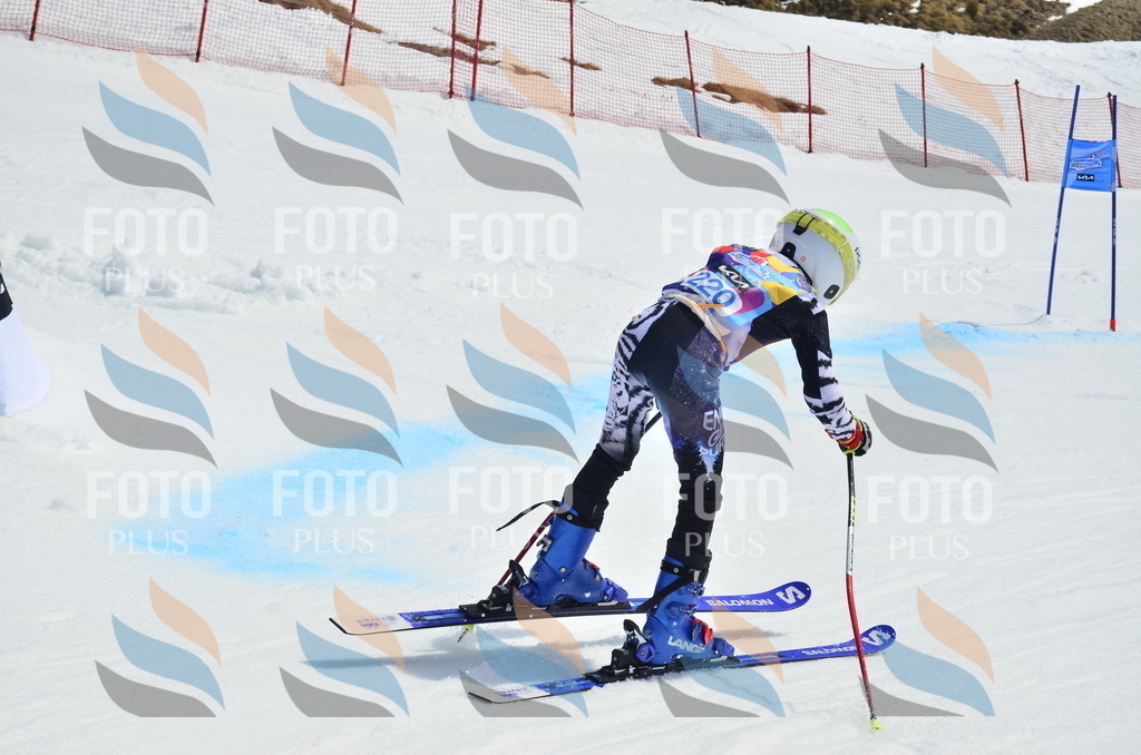 _ELE1548 | holidayphoto