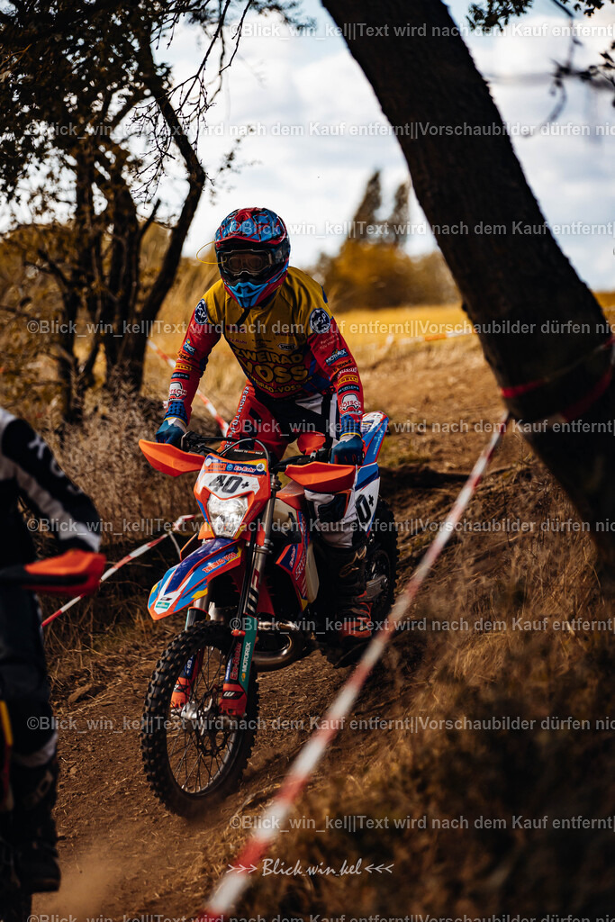 E68A3036 | blick_win_kel