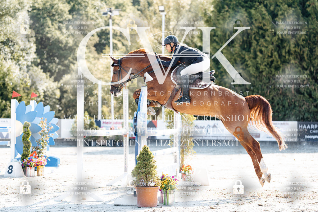 CK902004 | Turnierfotografie Pferdefotografie Trier Rheinland-Pfalz Pferdesport Reitsport Tierfotografie Sportfotografie Pferdevideo Pferdevideografie Equestrianvideography equestrianphotography  - Realisiert mit Pictrs.com