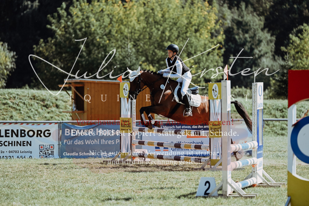 DSC_6610 | Pferde- und Turnierfotografie in Westsachsen. Pferdeportraits, Auftragszeichnungen und intuitive Kunst.