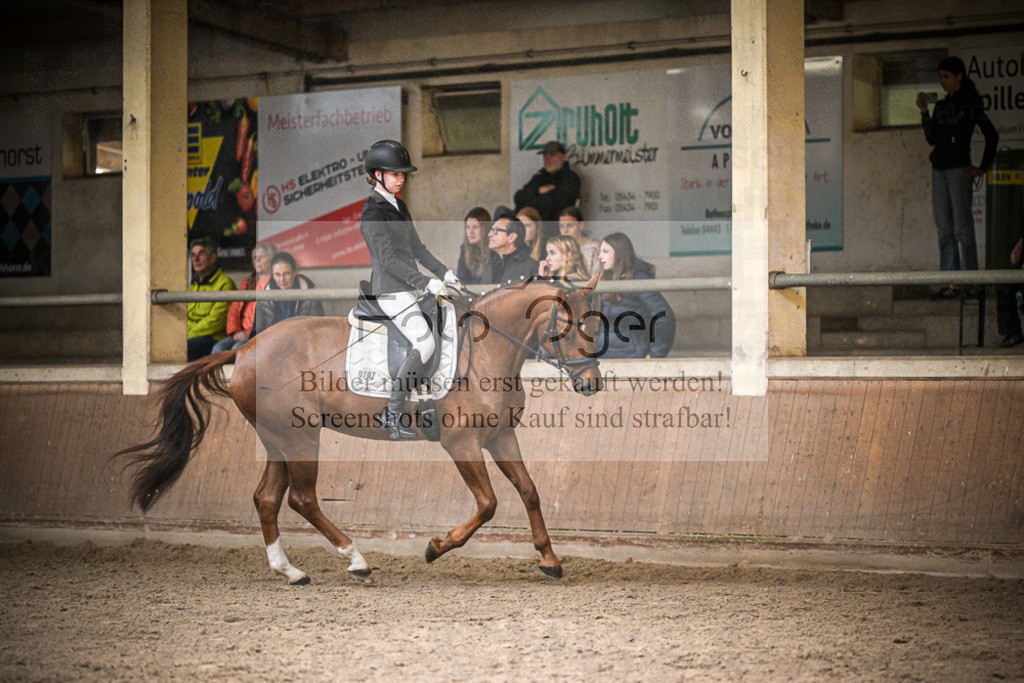 DOS_0366 | Entdecke hochwertige Reitturnierfotos von Foto Oger. Professionell, emotional und authentisch – jetzt Lieblingsmomente im Shop bestellen.Deutschlandweite Turnierfotografie. - Realisiert mit Pictrs.com