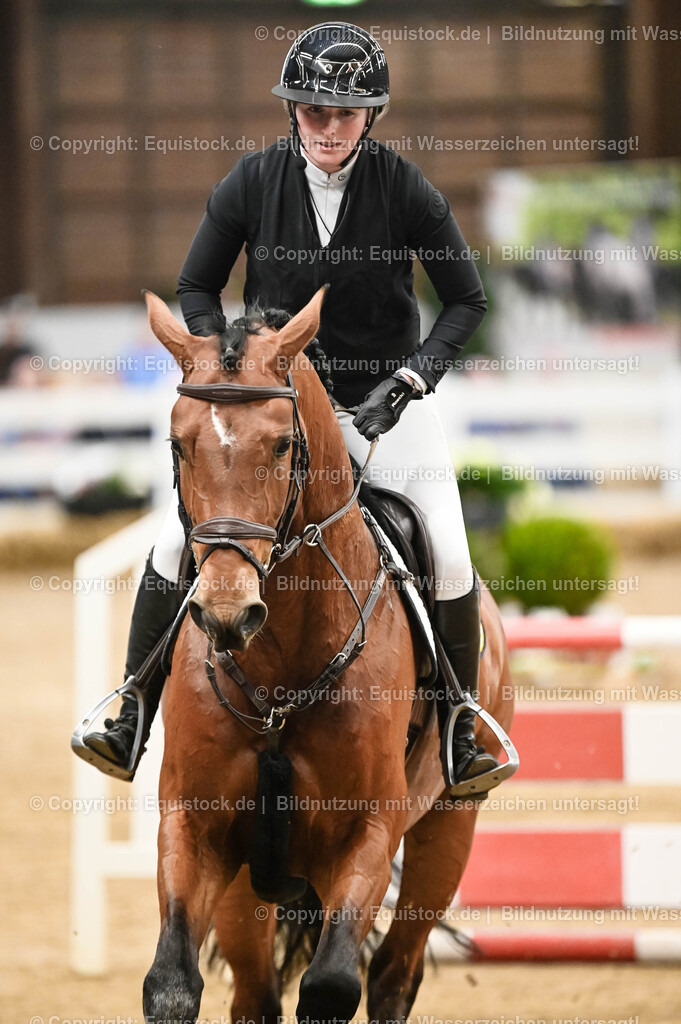 20260307_Hengstvorstellung-Marbach_0049 | equistock