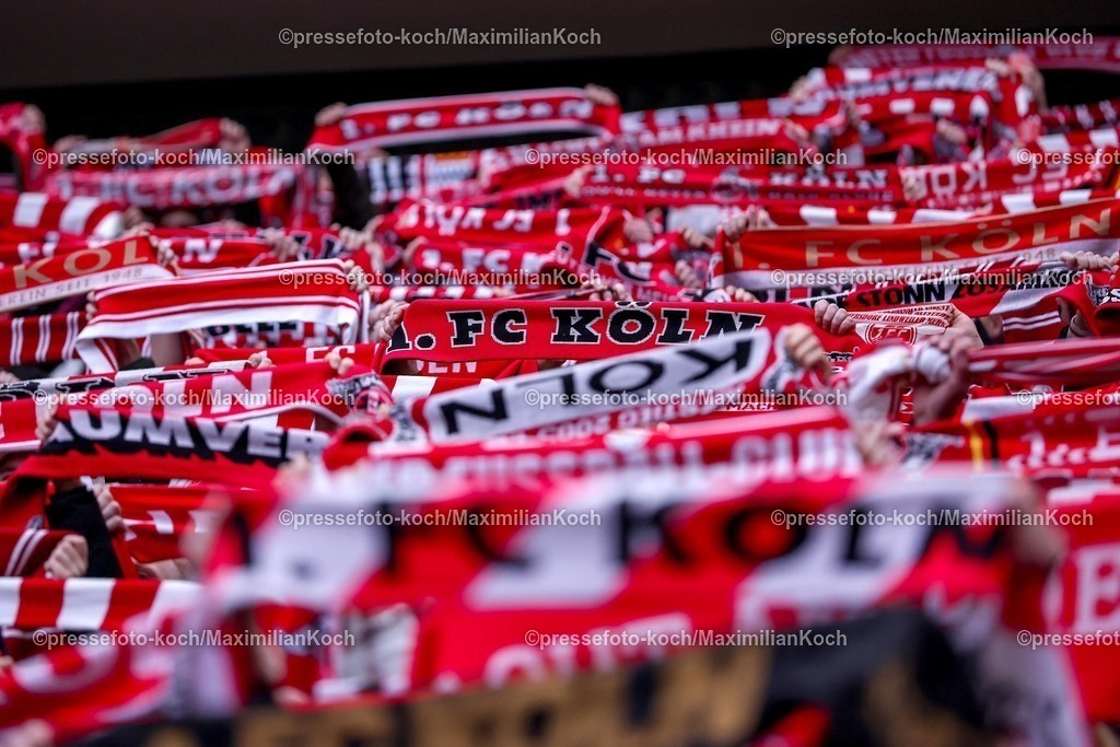 1FC08022601057 | 08.02.2026, Fußball, 1. FC Köln - RB Leipzig, 1. Fußball Bundesliga, 21. Spieltag, RheinEnergie-STADION, Saison 2025 2026: Kölner Fans auf der Tribüne Südkurve bei der Schalparade Schal Schals Fanschal Zuschauer Fußballfans  DFB regulations prohibit any use of photographs as image sequences and or quasi-video.