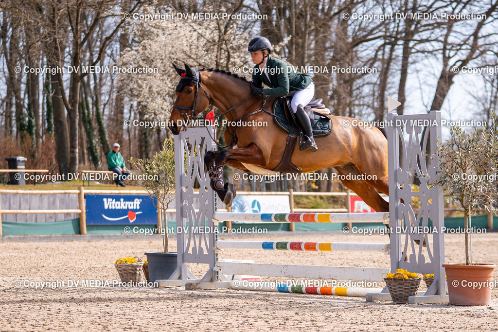 Kranichstein Tag 1-521 | dv-media-shop - Realisiert mit Pictrs.com