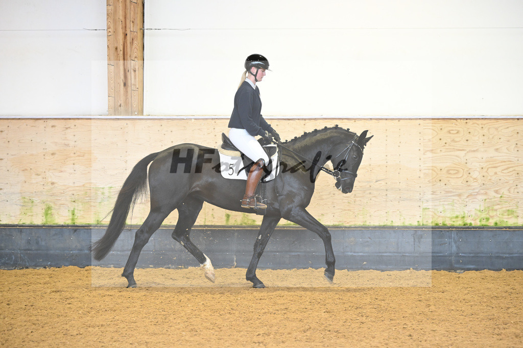 Kat-Nr. 5 Corwina US_Stahl_6222047 | hf-fotografie - Realisiert mit Pictrs.com
