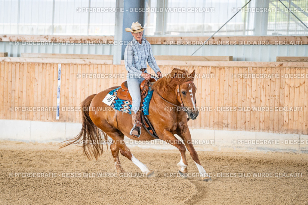 DSC02424 | Pferdegrafie