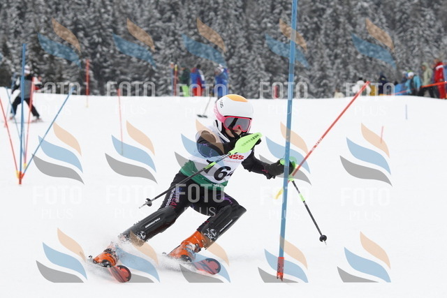 A1957 | holidayphoto