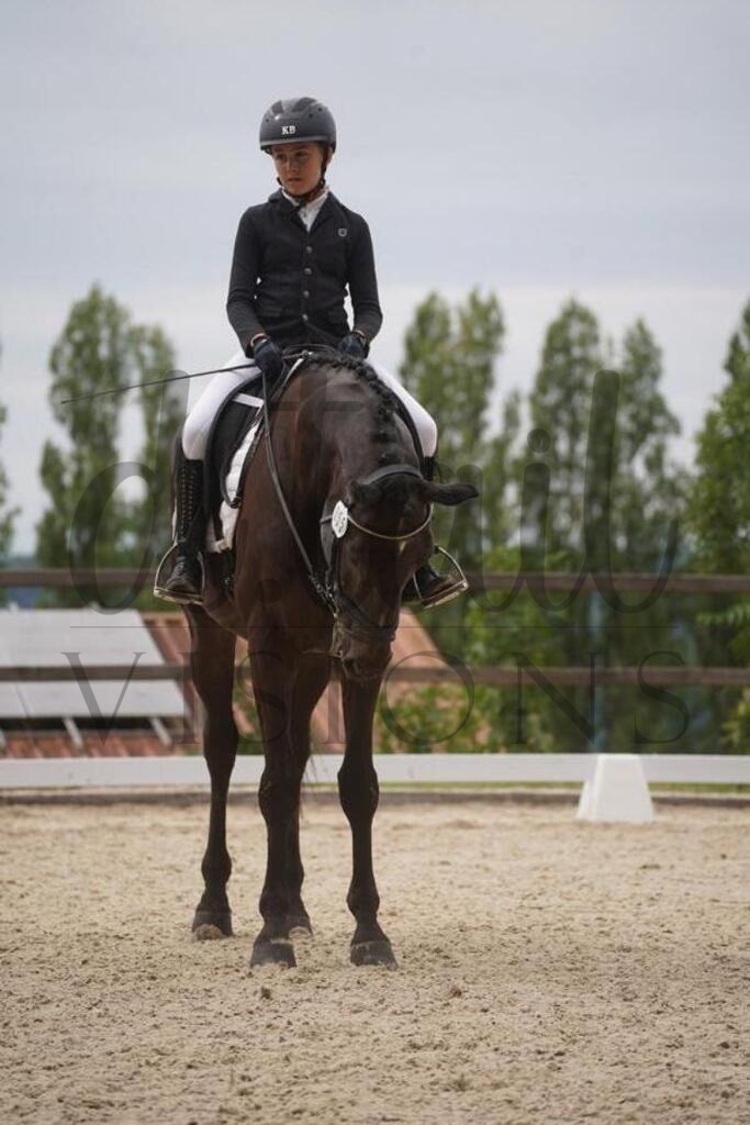 tgbhsamstag (1715) | d.tail Visions - Shop - Realisiert mit Pictrs.com