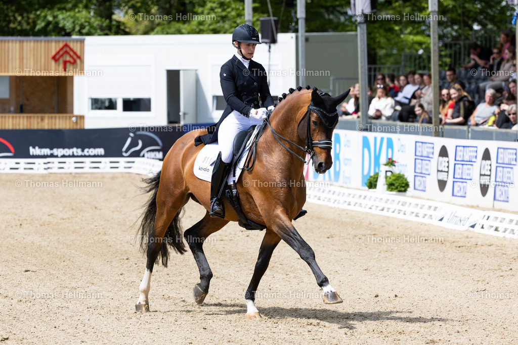TH_611-Nymphenburg_s First Ampere_ Cosima von Fircks- (GER)_8082 | Deutsches Spring- und Dressur-Derby 2023 am 19.05.23 in Hamburg, Derby Platz Klein Flottbek, Thomas Hellmann, _Y7A6534