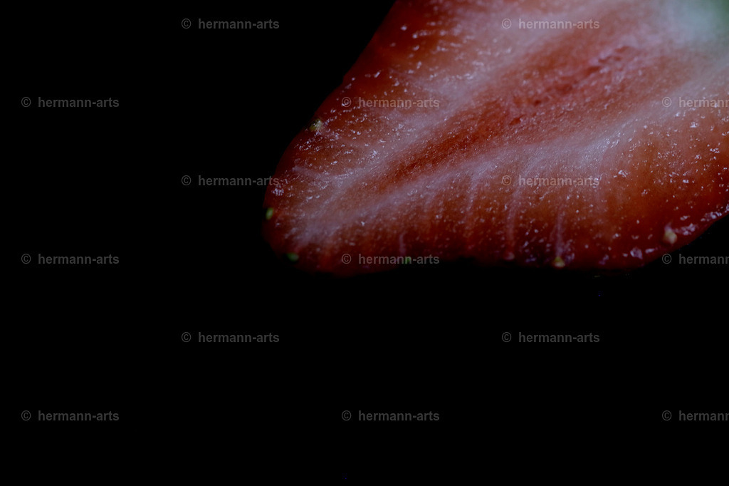 Fruits-Art-004 | Photo Foto Kunst Art schwarzweiss Bilder Rheine Münster Berlin Blumen 