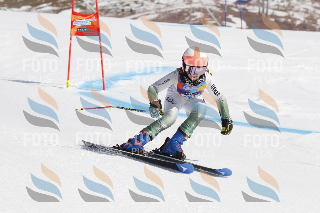 _U3G0163 | holidayphoto