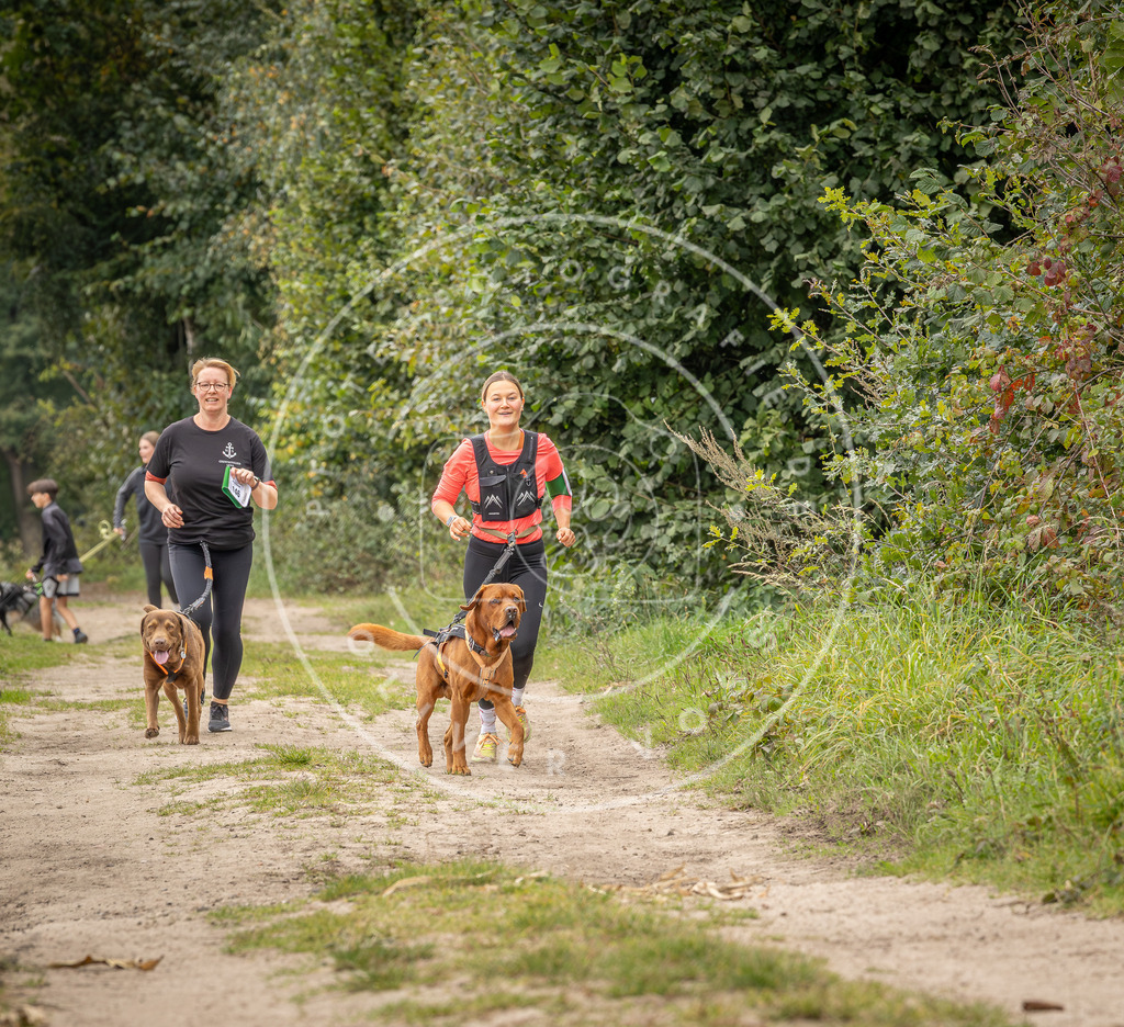 Pfotenfotografie_DV3A7030 | Hundefotografie, Tierfotograf, Pfotenfotografie, Fotoshooting Hund, Hunde Portrait, Hundesport, Hundeportraits, Heideshooting, Hunde, Sportfotograf, Hundefotograf, Turnierhundsport, THS,  - Realisiert mit Pictrs.com
