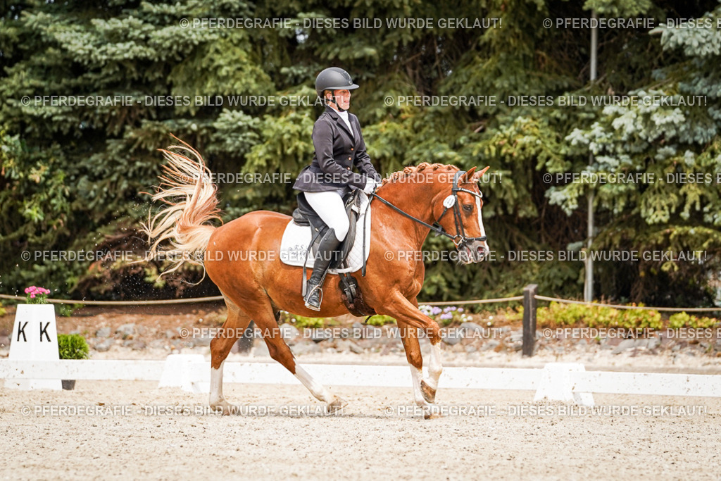 DSC04251 | Pferdegrafie