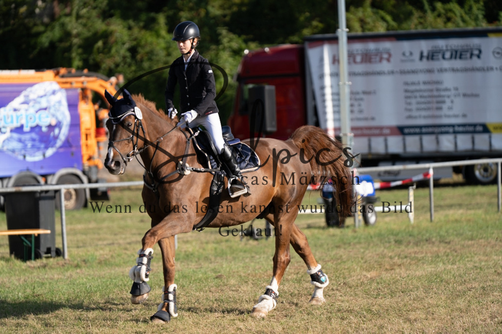 A7V08126 | Pferdefotograf