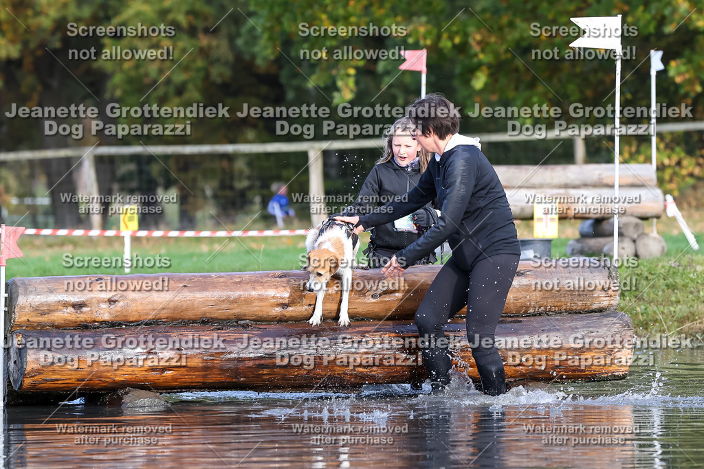 Dog Paparazzi - Strongdog 10-25-8292 | Dog Paparazzi Jeanette Grottendiek Fotografie & Videografie - Realisiert mit Pictrs.com