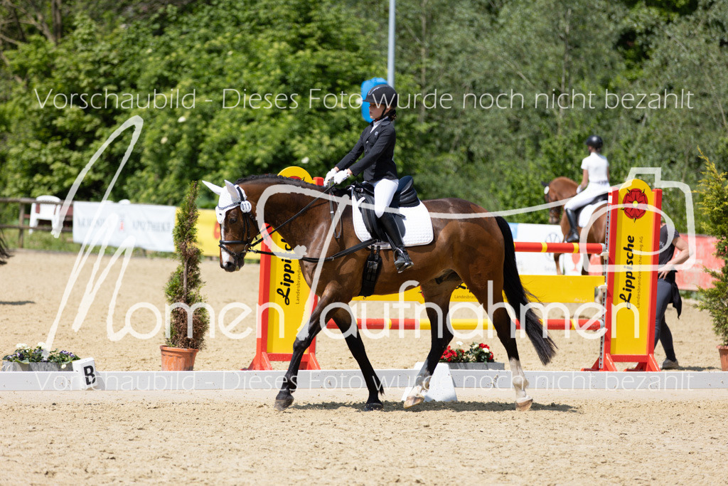 Donop24-RWB-041 | MomenTaufnahmen Pferdesportfotos