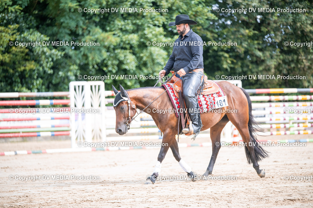 ZS3_4954 | dv-media-shop - Realisiert mit Pictrs.com