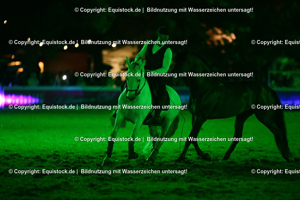 20240517_Lange-Pferdenacht_0982 | Foto: Thomas Hartig