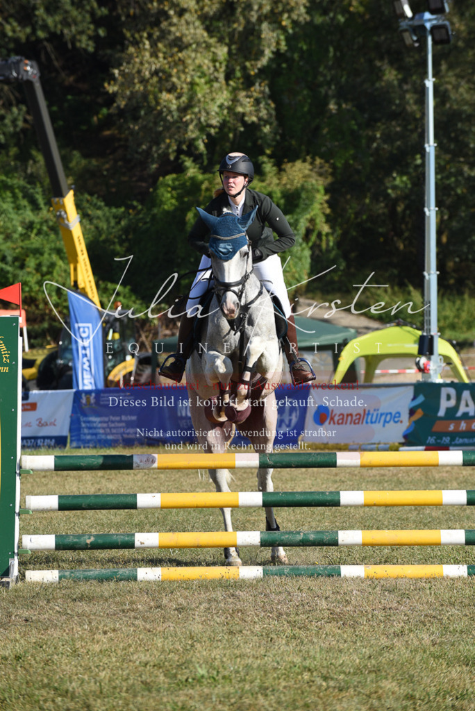 DSC_5200 | Pferde- und Turnierfotografie in Westsachsen. Pferdeportraits, Auftragszeichnungen und intuitive Kunst.