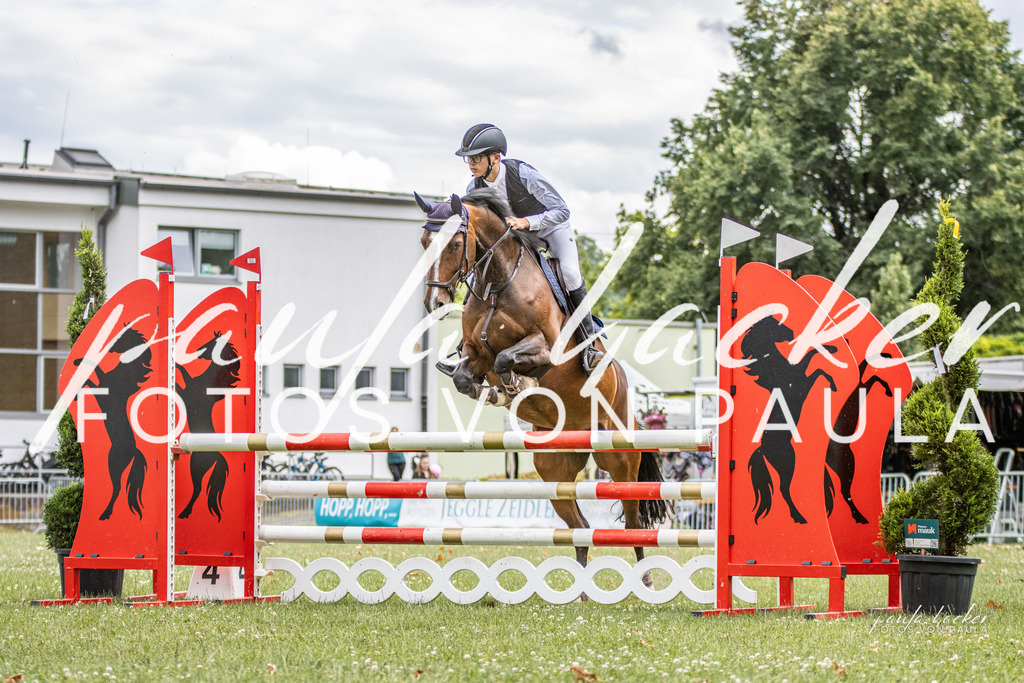 IMG_7545 | Erleben Sie dynamische Sport- und emotionale Tierfotografie in Süddeutschland mit Fotos von Paula. Spezialisiert auf Pferde- und Hundefotografie sowie Sportevents. Kontaktieren Sie mich für einzigartige und ausdrucksstarke Bilder Ihrer besonderen Momente. - Realisiert mit Pictrs.com
