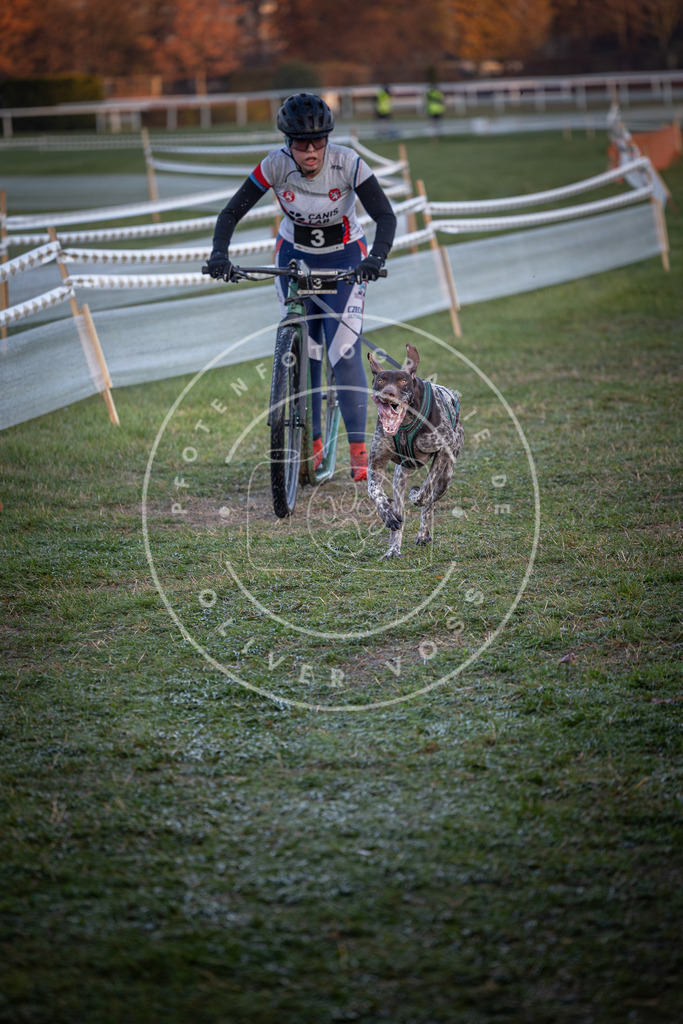 CaniXpix_0L8A0998 | Hundefotografie, Tierfotograf, Pfotenfotografie, Fotoshooting Hund, Hunde Portrait, Hundesport, Hundeportraits, Heideshooting, Hunde, Sportfotograf, Hundefotograf, Turnierhundsport, THS,  - Realisiert mit Pictrs.com