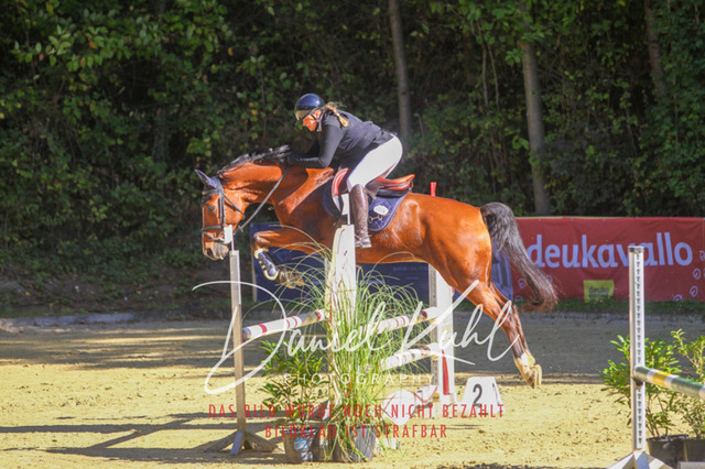 DKP42933 | Turniersportfotografie; Pferdefotografie; Dressurfotografie