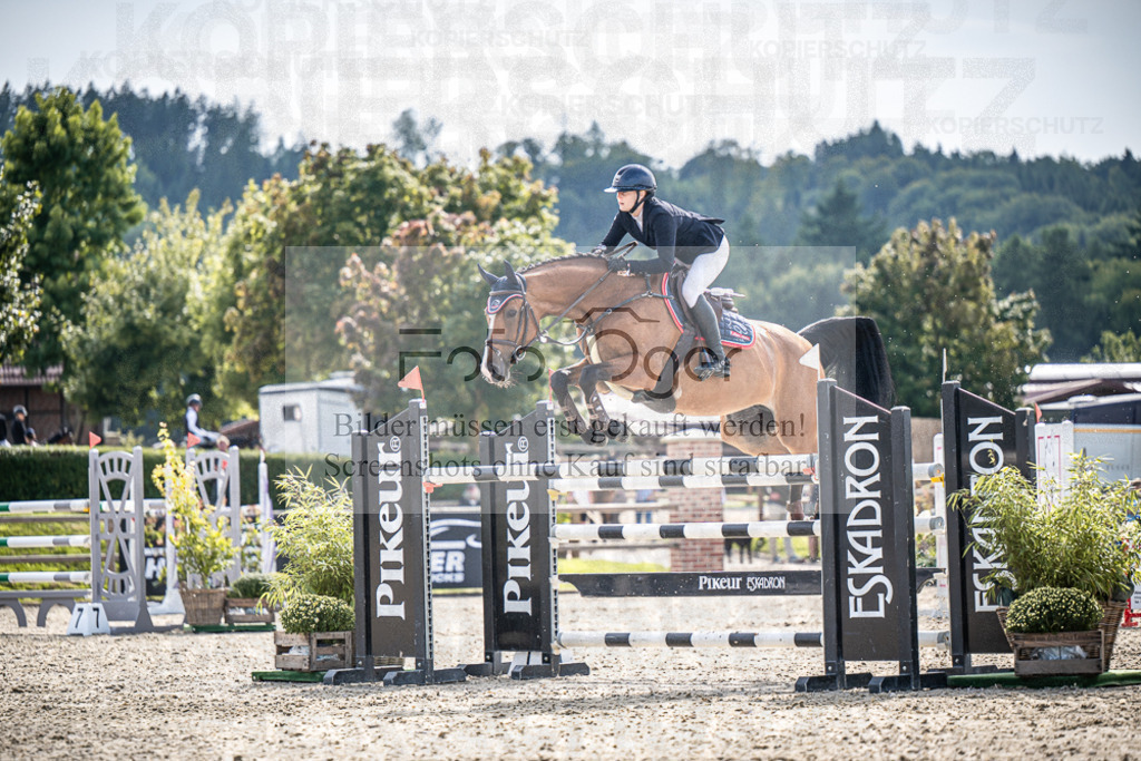 DOS_1356 | Entdecke hochwertige Reitturnierfotos von Foto Oger. Professionell, emotional und authentisch – jetzt Lieblingsmomente im Shop bestellen.Deutschlandweite Turnierfotografie. - Realisiert mit Pictrs.com