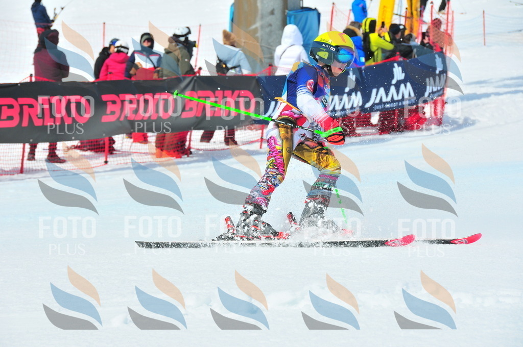 DSC_6737 | holidayphoto