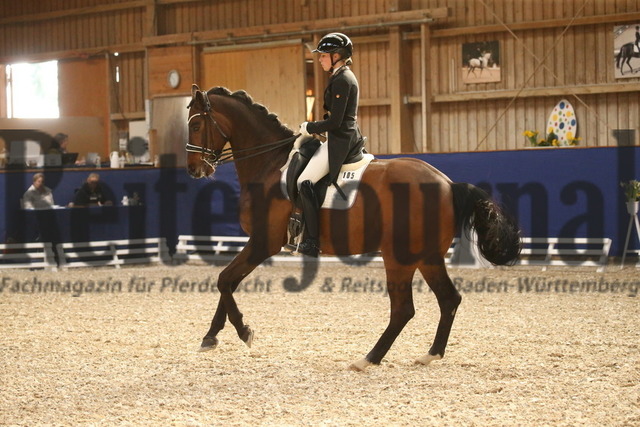 Turnier_Zeutern_2022_Prfg.Nr.02_Kurz-GrandPrix_RAmona Ritzel_DSP Superdry (12) | Alle Fotos der Reiterjournal Fotografin Doris Matthaes im Reiterjournal Online-Fotoshop. - Realisiert mit Pictrs.com