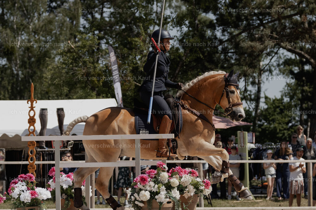 WE_SP_Stoib_308_PI2025_1624 | Pferd International München 2025