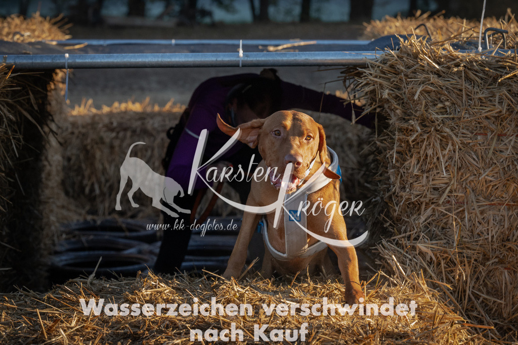 0903_ZZ90826 | kk-dogfotos