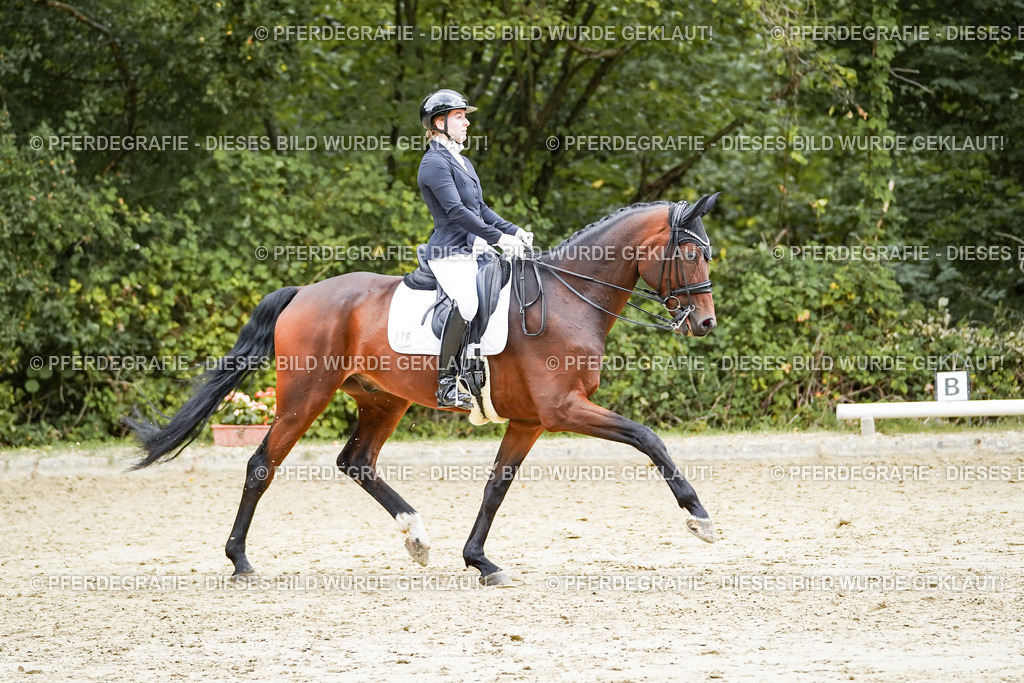 DSC07250 | Pferdegrafie